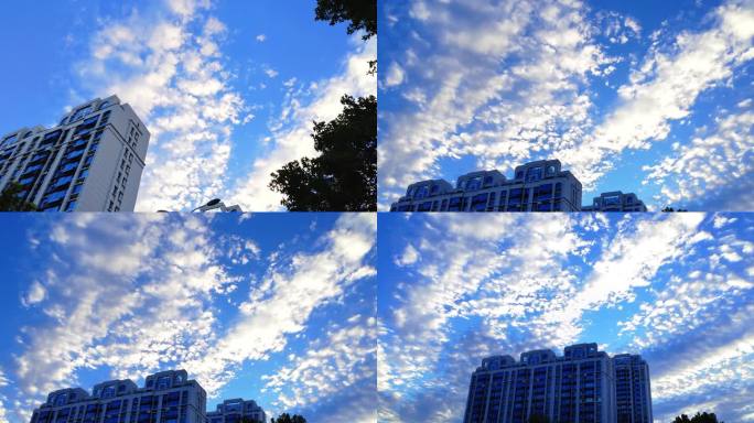 蓝天白云下的城市建筑