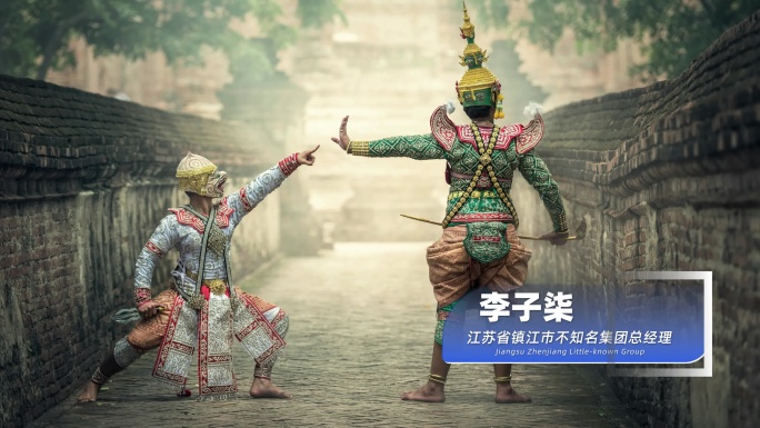 12款简洁科技感人名字幕条