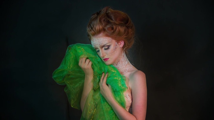 迷人的复古的天后