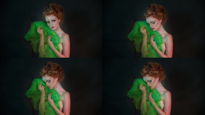 迷人的复古的天后