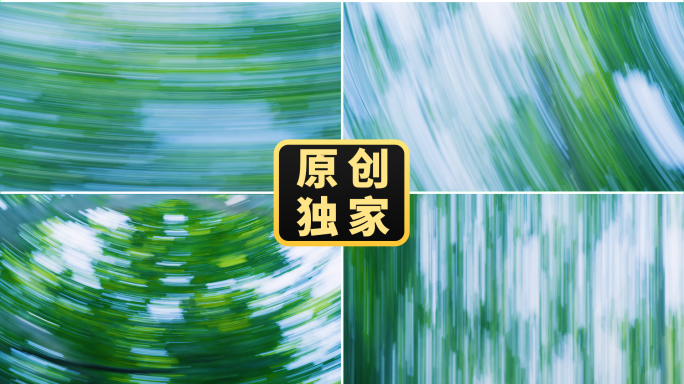 树影快闪树林快切转场时光流逝模糊拖影速度