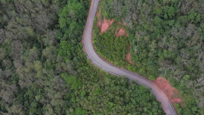 绿色森林中的盘山公路