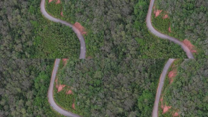 绿色森林中的盘山公路
