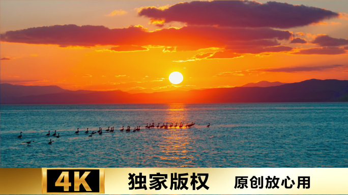 金色阳光下的自然奇观 壮丽日落日出景观