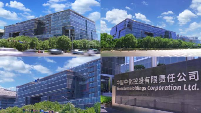 中国中化控股有限公司