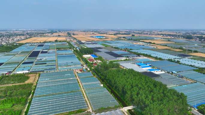 4K 现代农业科技种植大棚基地航拍