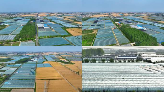 4K 现代农业科技种植大棚基地航拍