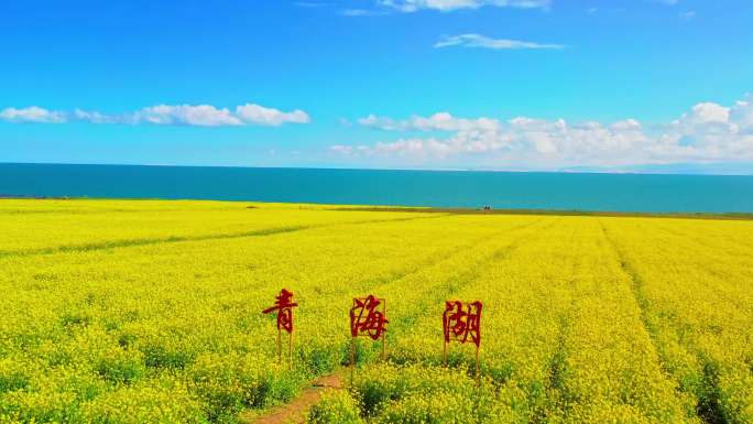 青海湖