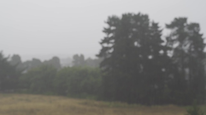 大雨落在郊区
