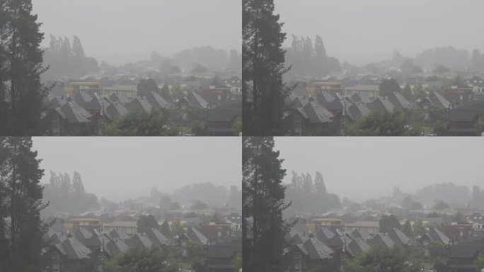 大雨落在郊区