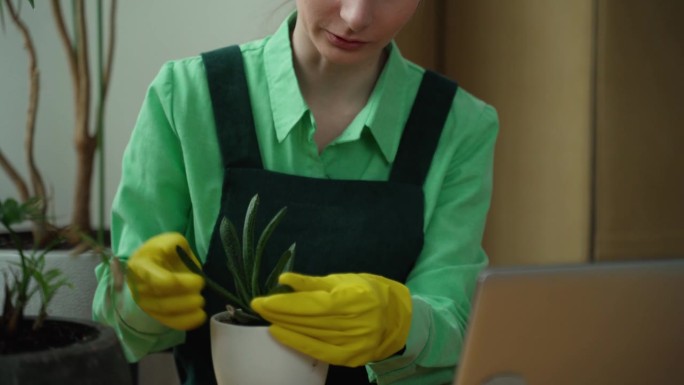 一个女人用笔记本电脑打视频电话，在网上教家庭园艺。直播营销的概念