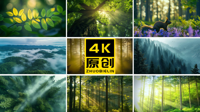 丁达尔逆光森林
