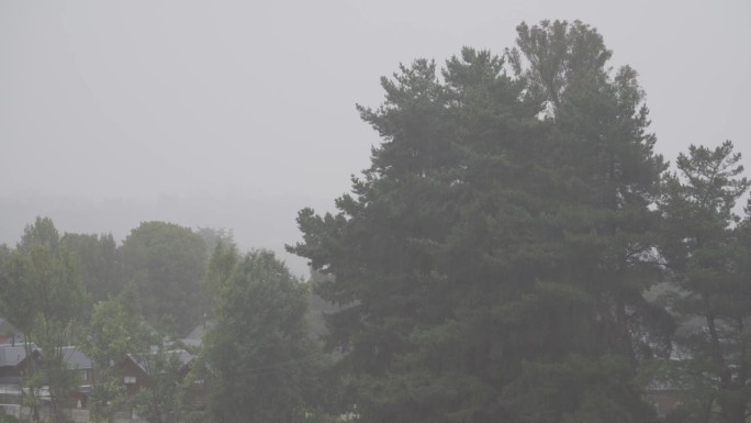 大雨落在郊区