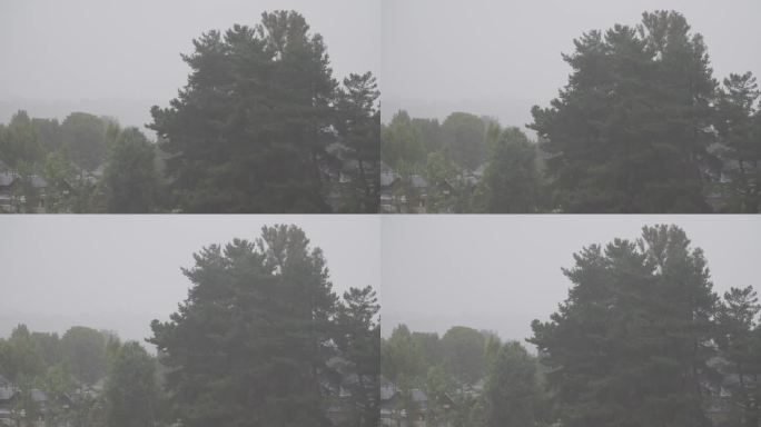 大雨落在郊区