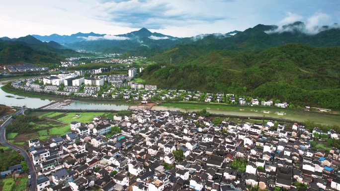绿色稻田与村庄河流