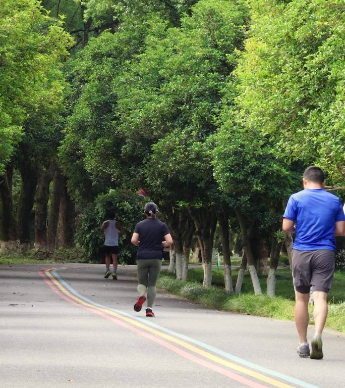 公园里晨跑锻炼的人