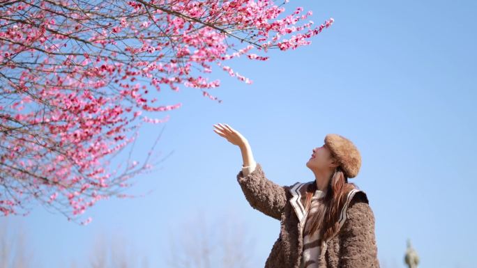 少女与梅花的浪漫邂逅