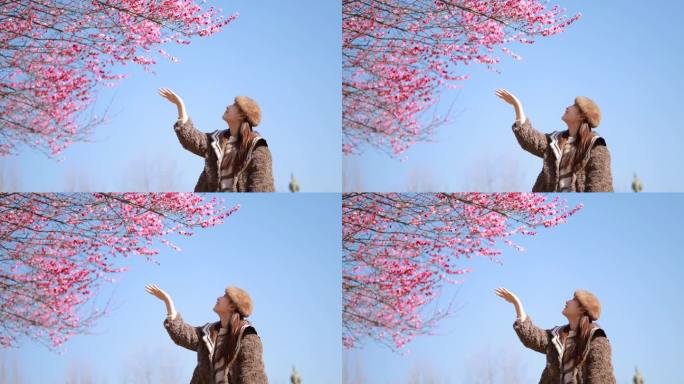 少女与梅花的浪漫邂逅