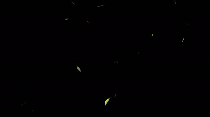 柳叶飘落4 透明通道