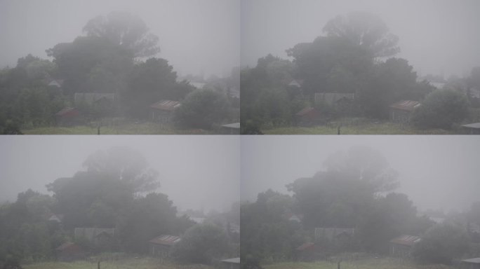 智利南部浓雾弥漫