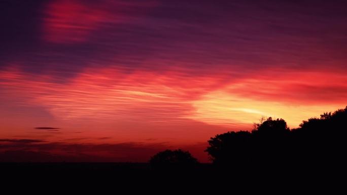 橘红色和紫色的夕阳映在非洲的灌木丛中，金合欢树的剪影