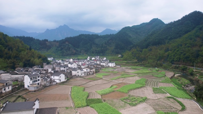 安徽 黄山 绩溪 航拍 梯田 农村 乡村