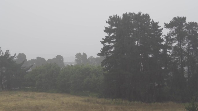 大雨落在郊区