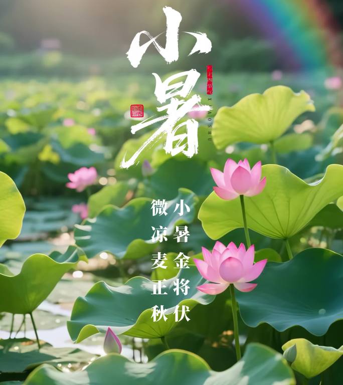 小暑节气动态海报AE模板