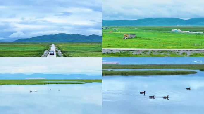 青藏高原湿地风光
