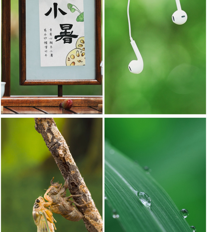 竖屏 小暑 小暑节气夏日夏天雨季空镜素材