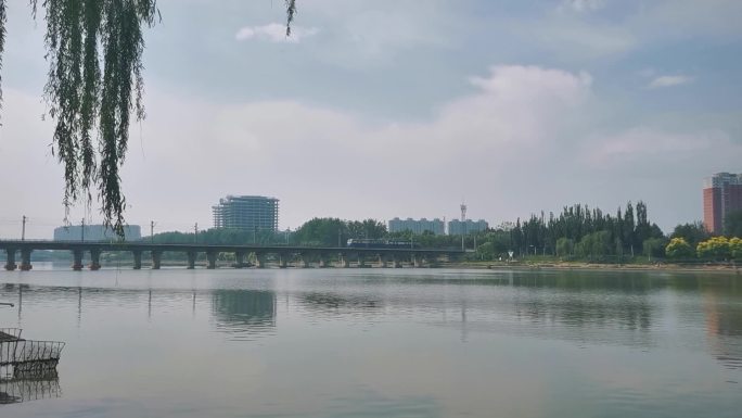 柳树下的城市风光