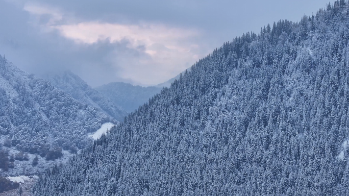 冬天雪凇山林雾海雪山森林冬日冰雪风光