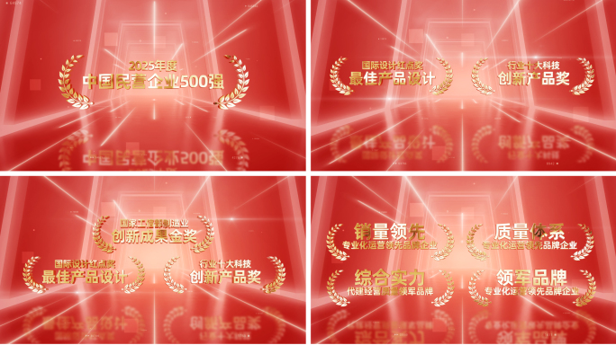 红色荣誉奖项文字介绍