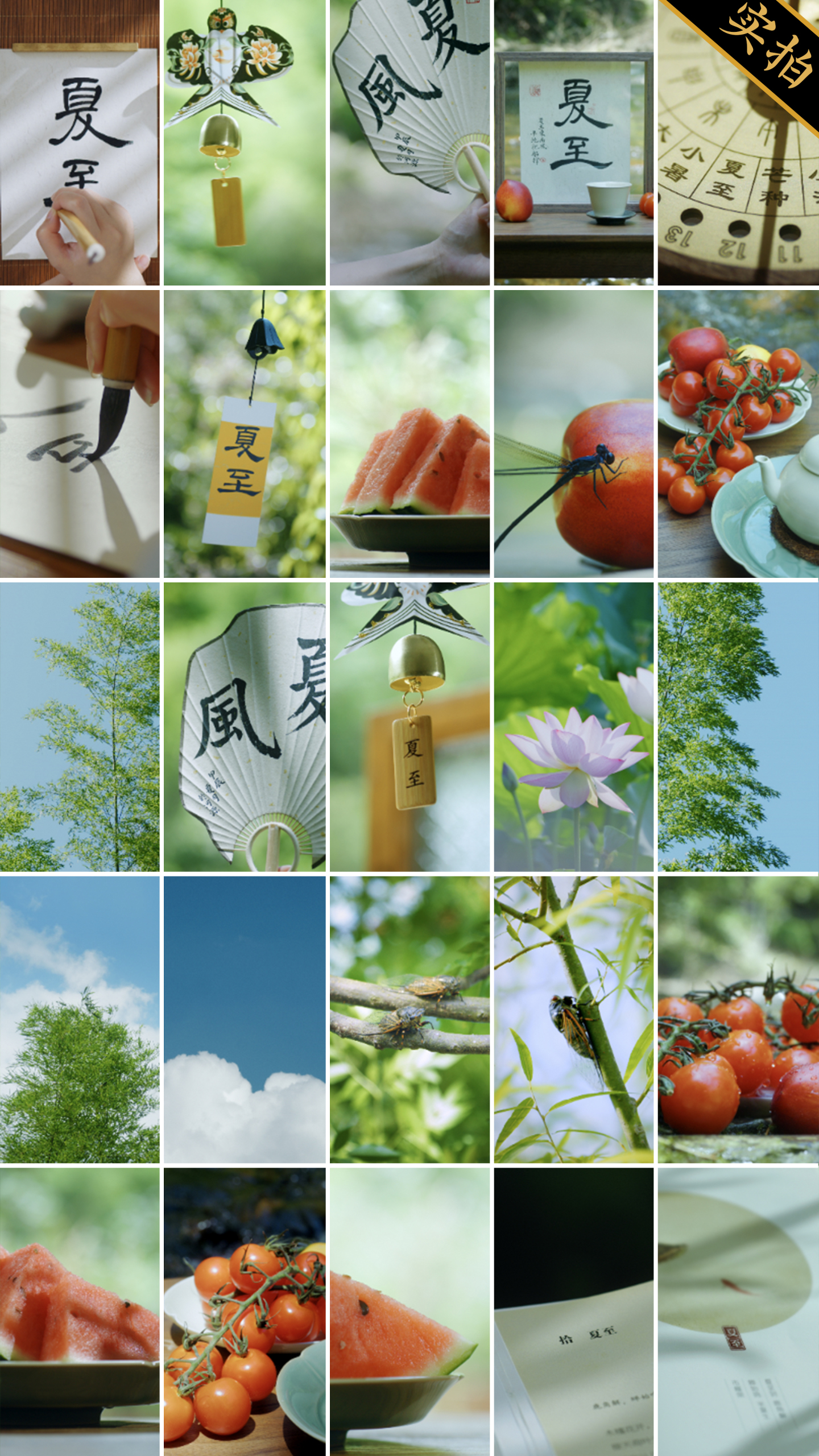 【夏至竖版】夏天西瓜荷花风铃清新合集
