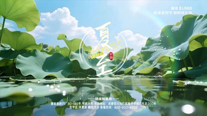 清凉夏日夏至立夏荷花艺术字片头标题文字