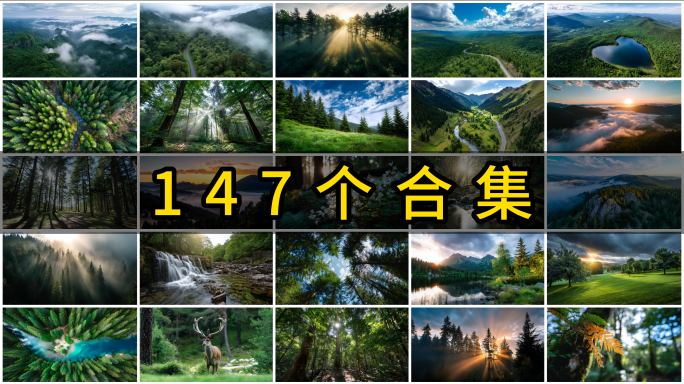 森林航拍大自然树林山脉生态绿洲环保氧吧