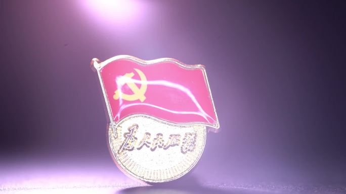 党建  D徽 微距 为人民服务 旗帜