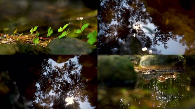 山泉水水流酿酒水