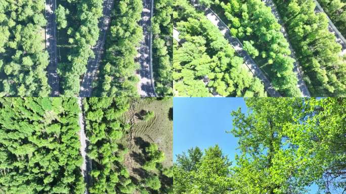 【4K】蜿蜒道路穿梭林间