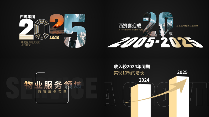 黑金季度报告 年度报告 数据汇报快闪