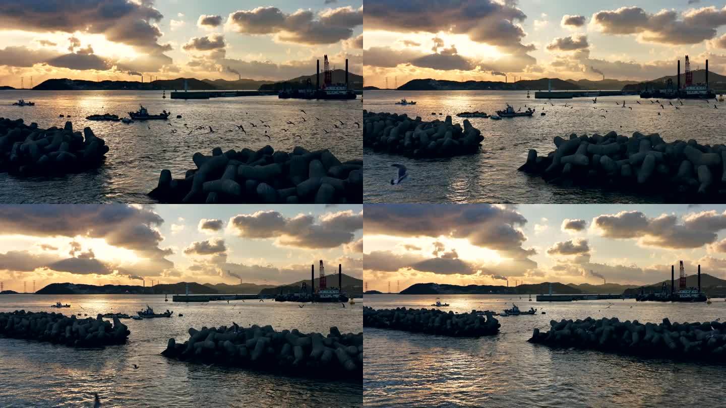 韩国仁川港的海鸥和渔船