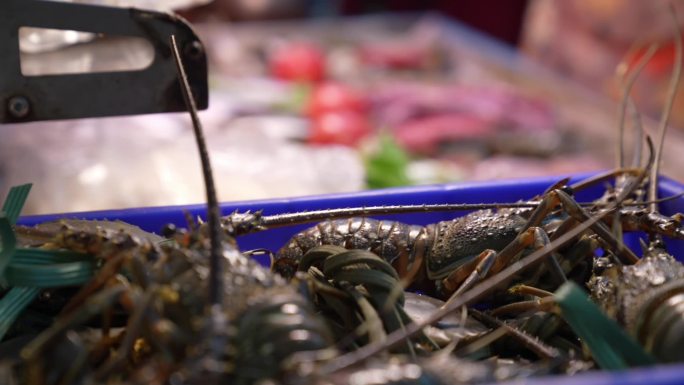 潮汕海鲜排档的各式生鲜海鲜龙虾鱼类海产品