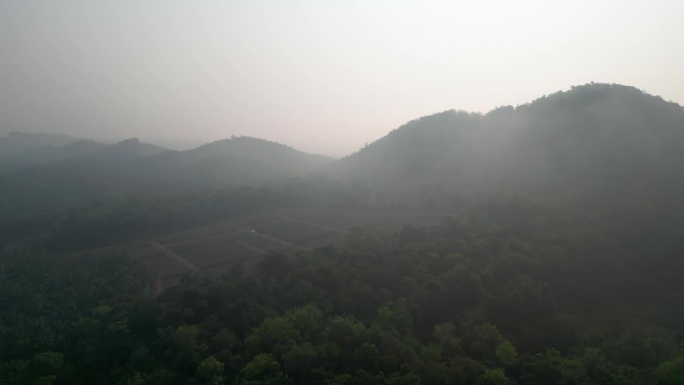 在山区雾蒙蒙的早晨空中推进人工林