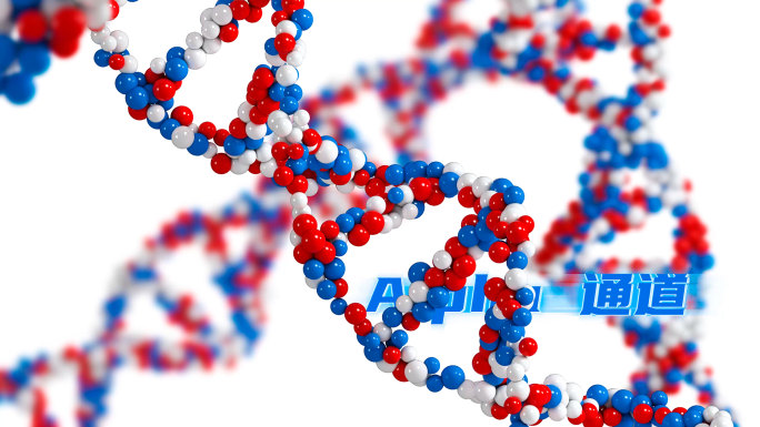 DNA基因工程科技研究螺旋转结构遗传生物