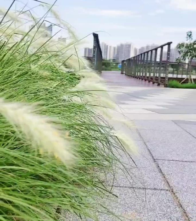城市公园的秋日景色
