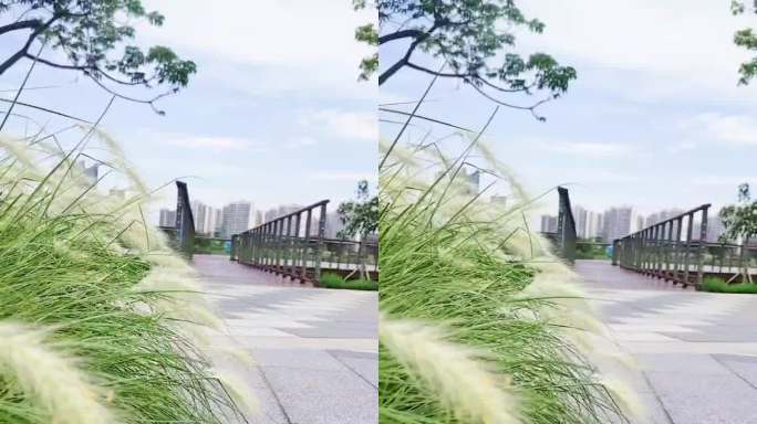城市公园的秋日景色