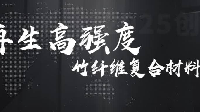 团队人介绍AE模版
