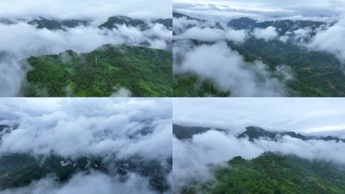 秦岭山间云海壮丽风光