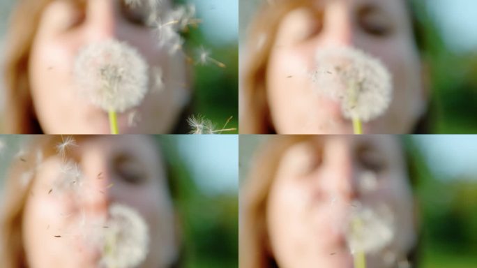 特写:一个女人吹蒲公英的柔和焦点，种子在空气中散落。