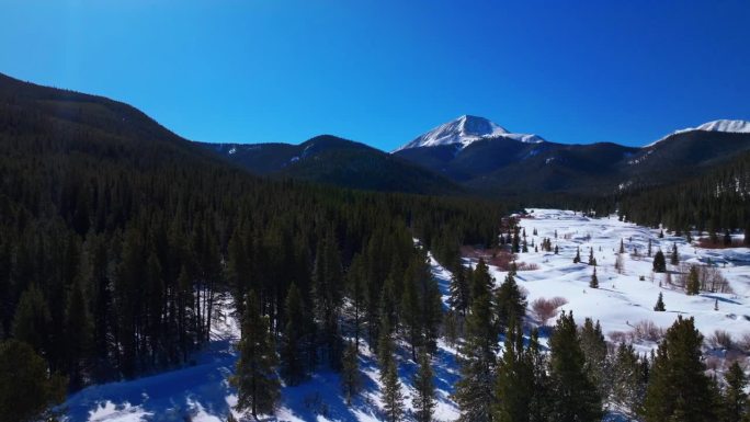 雪地摩托狗拉雪橇步道博瑞斯山口布雷肯里奇科罗拉多州空中无人机电影边远地区蓝色晴朗的天空北叉虎路秃顶落